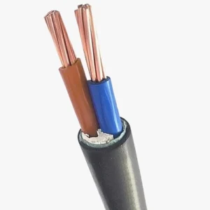 Stranded Copper Cable 2 Core 10 mm CU/PVC/PVC, 0.6/1 kV, 1000 M Length | BAHRA