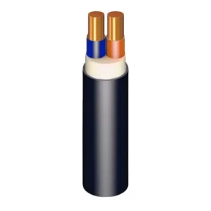 Stranded Copper Cable 10 mm, 0.6/1kV, Solid, 2×, PVC Insulated | Riyadh Cables