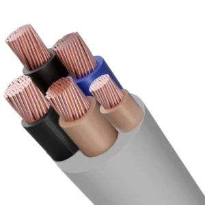 Riyadh Electric Cable 25mm2 300/500 Rated Voltage, 5 Core Stranded Copper, PVC Insulated