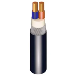 SWA Armored Cable Solid Copper 2×4mm, 0.6/1kV, XLPE Insulated | Riyadh Cables