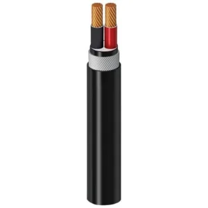 10mm 2 Core Stranded Copper Cable, SWA Armoured, XLPE Insulated, 0.6/1kV | Alfanar