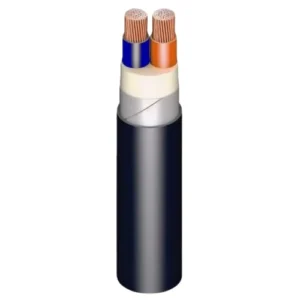 6 mm STA Armored Cable 2 Core Stranded Copper 600/1000V, XLPE Insulated, PVC Sheathed | Riyadh Cables