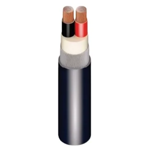 Stranded Copper (SWA) Armored Electric Cable, 2×10 mm, 600/1000V, XLPE Insulated | Riyadh Cables