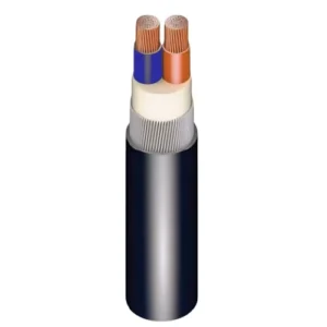 Stranded SWA Armored Copper Cable 2×16 mm, 600/1000V, XLPE Insulated | Riyadh Cables