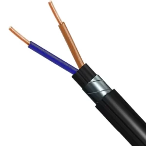 Solid Copper Electrical Cable 2C, 6mm, 0.6/1kV, STA Armored, XLPE Insulated, PVC Jacketed, 1000 m | RESCAB