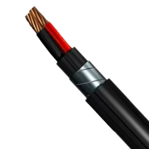 Bahra 16 mm Two Core 0.6/1kV  Cable, CU/XLPE/STA/PVC, Stranded Copper, 1000 meter