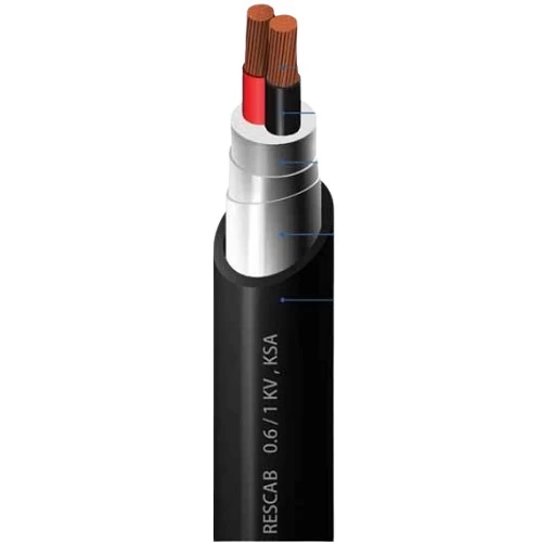 Two Core Stranded Copper Power Cable, 6 mm, 0.6/1kV, STA Armed, XLPE Insulation, PVC Sheath, 1000 meter | RESCAB