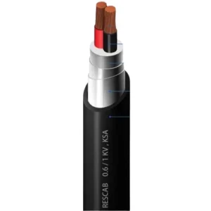 Two Core Stranded Copper Power Cable, 10 mm, 0.6/1kV, STA Armed, XLPE Insulation, PVC Sheath, 1000 meter | RESCAB